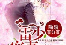 免费在线阅读隐婚百分百：雷少，宠妻要趁早小说的正规网站有哪些？-个性文学