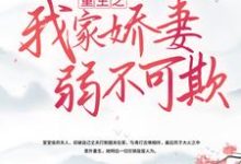 重生之我家娇妻弱不可欺 林姝 陆靖然,重生之我家娇妻弱不可欺在线无弹窗阅读-个性文学