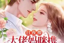 日夜撩，大佬妈咪携三宝诱他沦陷小说，日夜撩，大佬妈咪携三宝诱他沦陷苏子瑶风南爵-个性文学