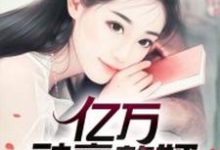 哪里能找到亿万神豪赘婿小说的最新更新和免费章节?-个性文学