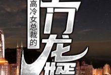 叶豪萧婉清的小说在哪里看？免费在线阅读高冷女总裁的上门龙婿-个性文学