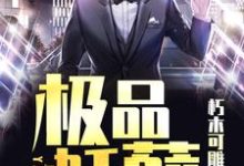 极品妖孽叶凡柳若霜，极品妖孽在线无弹窗阅读-个性文学