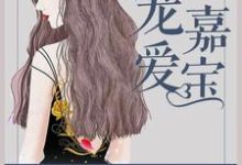 宠爱嘉宝宋嘉宝肖辰龙，宠爱嘉宝在线无弹窗阅读-个性文学