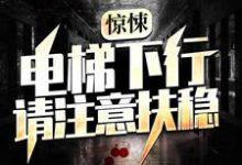 免费阅读林枫为主角的小说，惊悚：电梯下行，请注意扶稳在线看-个性文学