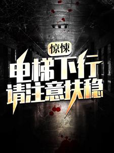 免费阅读林枫为主角的小说，惊悚：电梯下行，请注意扶稳在线看