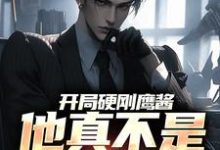 完整版的开局硬刚鹰酱,他真不是馋光刻机小说在哪里可以免费读到?-个性文学