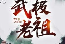 武极老祖(林炎灵皇)在线免费阅读-个性文学