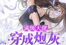 免费在线阅读满级大佬穿成炮灰前妻后小说的正规网站有哪些?-个性文学