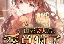 主人公慕清清季言川小说虐死夫人后,季总疯了在线章节阅读-个性文学