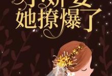 男女主人公叫舒念微封南修的小说免费资源-个性文学