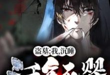 求推荐可以免费阅读盗墓:我,沉睡三千年死婴!小说的网站-个性文学