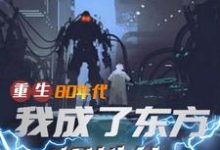 小说《重生80年代,我成了东方钢铁侠》在线章节阅读-个性文学