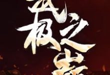 武极之巅( 轩辕尹甄洛)在线免费阅读-个性文学