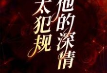 完结版《他的深情太犯规》免费阅读-个性文学