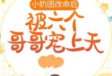小奶团改命后,被六个哥哥宠上天小说,小奶团改命后,被六个哥哥宠上天章节在线阅读-个性文学