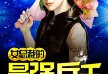 女总裁的最强兵王小说最新更新在哪里?免费在线看-个性文学