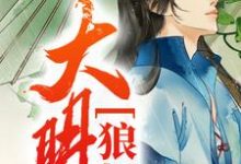 张新月茹是哪本书的主角?寻找大明狼烟免费阅读-个性文学