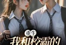 重生：我和校霸的甜甜恋爱小说有没有完结版在线？-个性文学