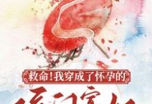 《救命！我穿成了怀孕的侯门寡妇》小说章节列表免费试读，林依颜暮云小说在线阅读-个性文学