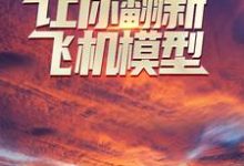 让你翻新飞机模型,你却打造幽灵战机?小说,让你翻新飞机模型,你却打造幽灵战机? 齐风田莹-个性文学