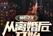 免费看赌石之王从离婚后开始小说的网站有哪些？-个性文学