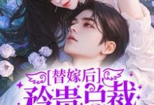 已完结小说《替嫁后，矜贵总裁宠她上瘾》章节免费阅读-个性文学