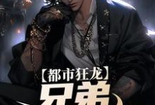 都市狂龙：兄弟，哥罩着你！免费阅读，都市狂龙：兄弟，哥罩着你！宋渔向影-个性文学