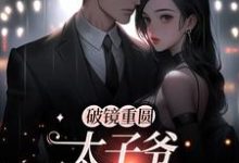 黎念靳宴深小说《破镜重圆:太子爷他太霸道》在线阅读-个性文学