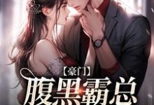 哪里能找到不装了，顾总与她日夜有染小说的最新更新和免费章节？-个性文学