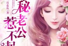 时小悠薄司商是哪本书的主角?神秘老公惹不起免费读-个性文学