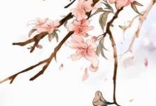 《当我得知自己是恶毒女配后……》小说大结局免费试读 楚玄夜宋安宁陆静怡靖安侯合欢散小说-个性文学