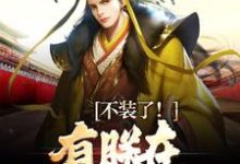 不装了！有朕在，大秦亡不了赢子婴，不装了！有朕在，大秦亡不了在线无弹窗阅读-个性文学