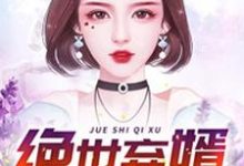 免费在线阅读绝世弃婿小说的正规网站有哪些?-个性文学