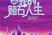 主角叫叶辰简晴小说年少轻狂:我的赌石人生章节免费阅读-个性文学