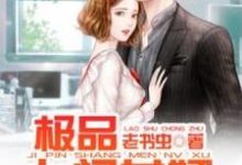 极品上门女婿这本小说怎么样?免费在线阅读试试-个性文学