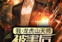 我,龙虎山天师,被害后傻了三年?小说,我,龙虎山天师,被害后傻了三年? 叶玄林清影-个性文学