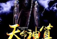 在线寻找天命神算小说的无删减版本-个性文学