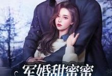 冯晚禾薛战城为主角的小说好看吗？免费读军婚甜蜜蜜：兵王老公使劲宠-个性文学
