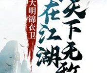 完结版《大明锦衣卫：我在江湖天下无敌》章节阅读-个性文学