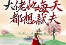 小说《娇养病弱反派后，大佬她每天都想弑夫》章节阅读-个性文学