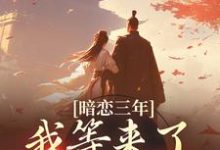 男女主人公苏明月江景淮小说暗恋三年，我等来了命定姻缘章节免费阅读-个性文学