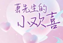 萧先生的小欢喜小说的最新章节在哪里更新？免费追踪阅读-个性文学