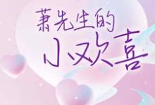 免费看萧先生的小欢喜小说的网站有哪些？-个性文学