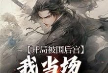 开局被围后宫，我当场登基为帝最新章节，开局被围后宫，我当场登基为帝免费阅读-个性文学