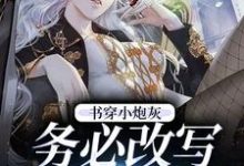 完结版《书穿小炮灰,务必改写好结局》章节阅读-个性文学