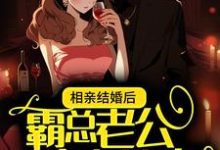 哪里能找到相亲结婚后，霸总老公实力护妻小说的最新更新和免费章节？-个性文学