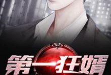 第一狂婿章节免费在线阅读,秦天完结版-个性文学