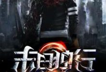 末日独行小说，末日独行凌奇张雨落桃子-个性文学