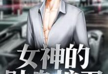 小说《女神的贴身护卫》章节免费阅读-个性文学