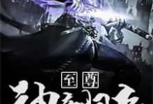 至尊神帝归来小说的最新章节在哪里更新？免费追踪阅读-个性文学